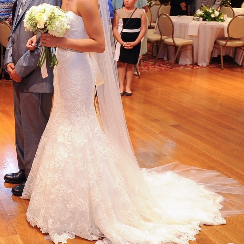 Elegant single layer bridal veil